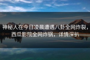 神秘人在今日凌晨遭遇八卦全网炸裂，西瓜影院全网炸锅，详情深扒