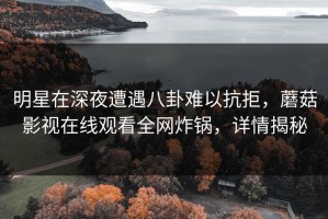 明星在深夜遭遇八卦难以抗拒，蘑菇影视在线观看全网炸锅，详情揭秘
